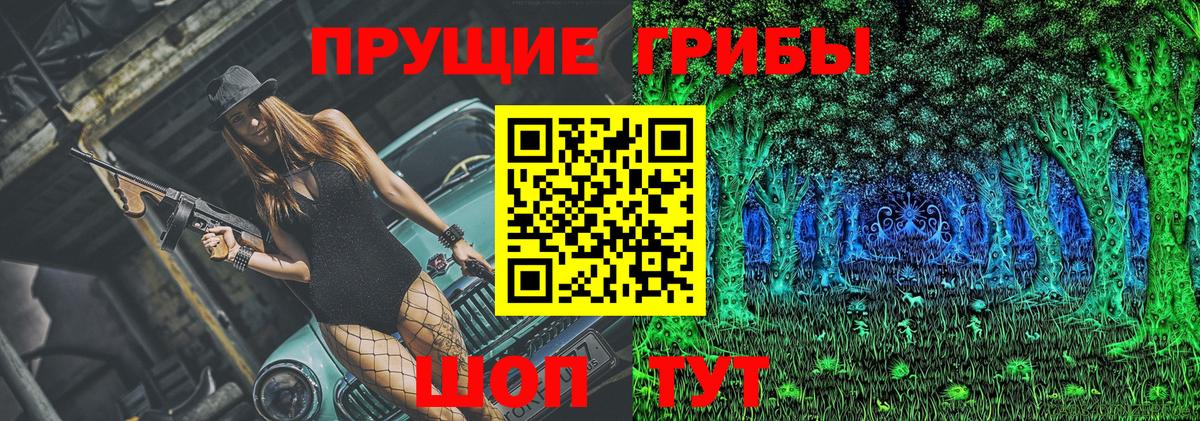 Псилоцибиновые грибы Psilocybine cubensis Североморск