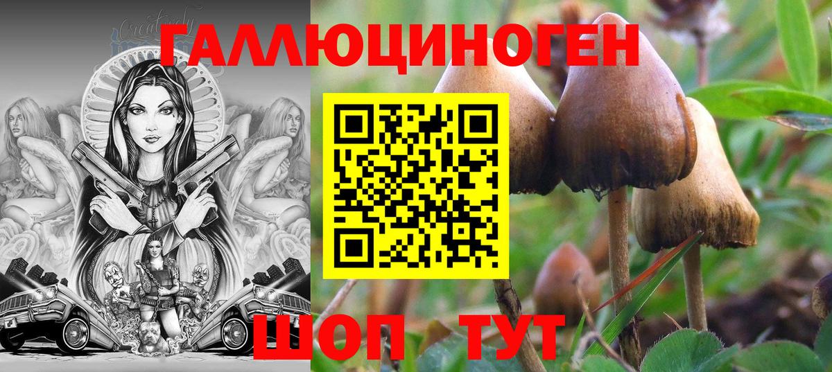 сколько стоит  Вход с VPN  Североморск  Псилоцибиновые грибы мухоморы 